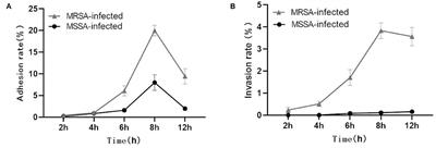 Effect of Two Different Drug-Resistant Staphylococcus aureus Strains on the Physiological Properties of MAC-T Cells and Their Transcriptome Analysis